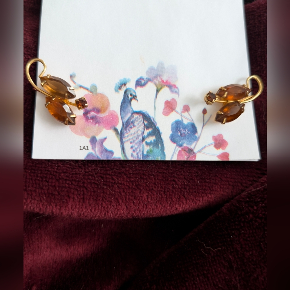 Elegant Gold and Brown Women's Earrings